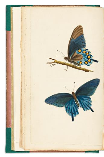 (INSECTS.) Thomas Say. American Entomology, or Descriptions of the Insects of North America.